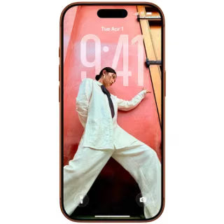 Apple iPhone 17 Pro Max (256GB,Global) Openbox