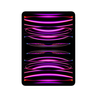 Apple iPad Pro 4th Gen (256GB Storage) A Grade Renewed